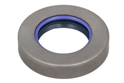 Gasket, differential BTA B06-2271
