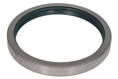 Gasket, differential BTA B06-2273