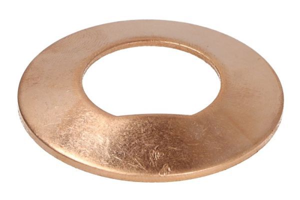 BTA B06-2277 Thrust Washer, differential pinion