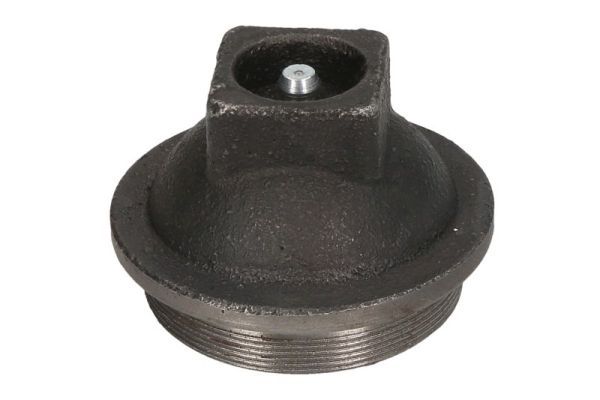 BTA B09-MF-001 Cover, wheel hub