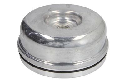 Cap, wheel bearing BTA B09-SC-001