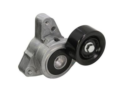 Tensioner Lever, V-ribbed belt BTA E24005BTA