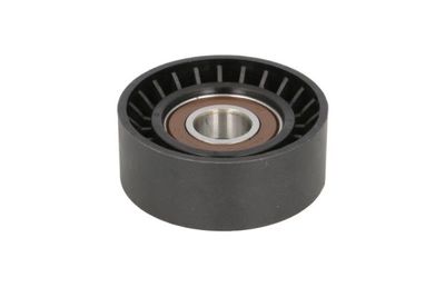 Tensioner Lever, V-ribbed belt BTA E2C0045BTA