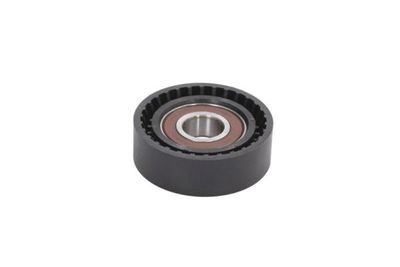 Tensioner Lever, V-ribbed belt BTA E2M0067BTA