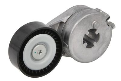Belt Tensioner, V-ribbed belt BTA E3W0042BTA