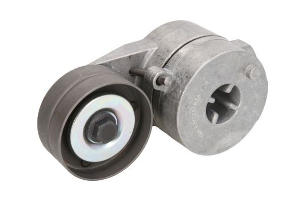 BTA E3Y0001BTA Belt Tensioner, V-ribbed belt