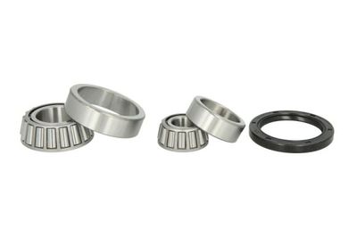 Wheel Bearing BTA H11069BTA