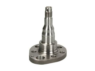 Steering Knuckle, wheel suspension BTA H5W028BTA