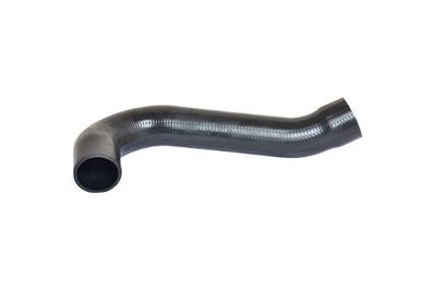 Charge Air Hose BUGIAD 81631