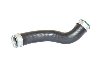 Charge Air Hose BUGIAD 81648