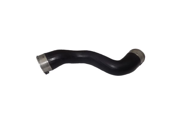 BUGIAD 81656 Charge Air Hose