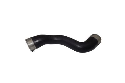 Charge Air Hose BUGIAD 81656
