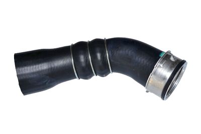 Charge Air Hose BUGIAD 81673