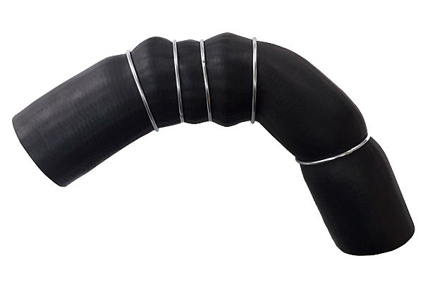 BUGIAD 81691 Charge Air Hose