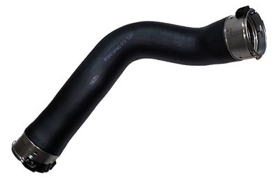 Charge Air Hose BUGIAD 81734