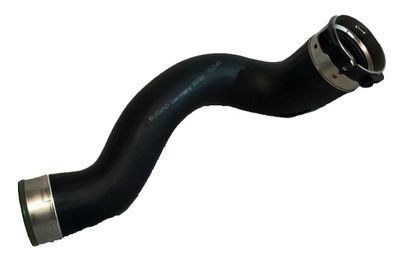 Charge Air Hose BUGIAD 81780