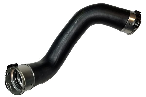 BUGIAD 81788 Charge Air Hose