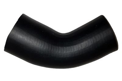 Charge Air Hose BUGIAD 81816