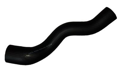 Charge Air Hose BUGIAD 81829