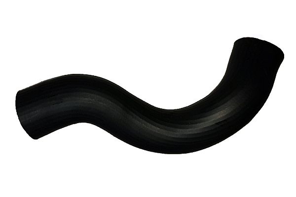 BUGIAD 81830 Charge Air Hose