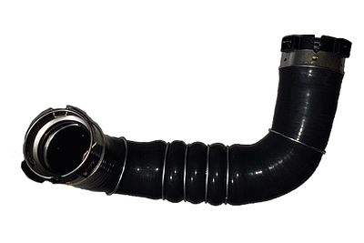 Charge Air Hose BUGIAD 81832