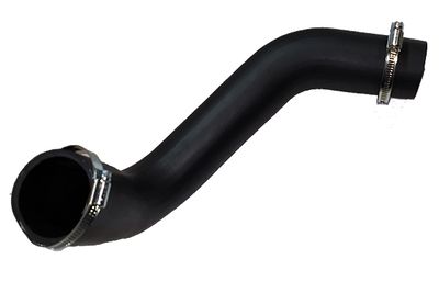 Charge Air Hose BUGIAD 81842