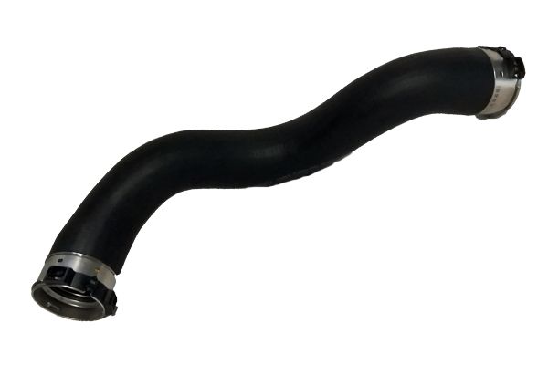 BUGIAD 81851 Charge Air Hose