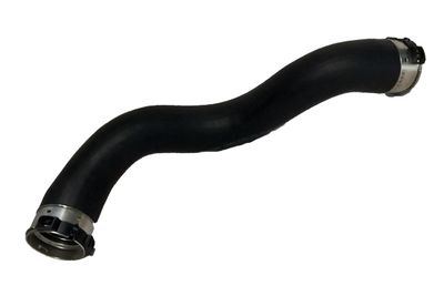 Charge Air Hose BUGIAD 81851