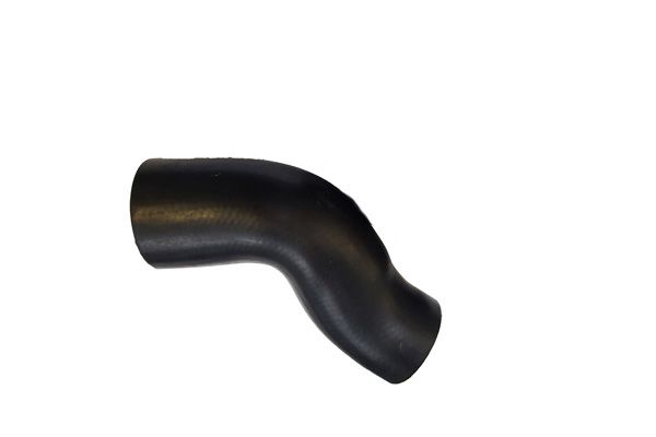 BUGIAD 81900 Charge Air Hose