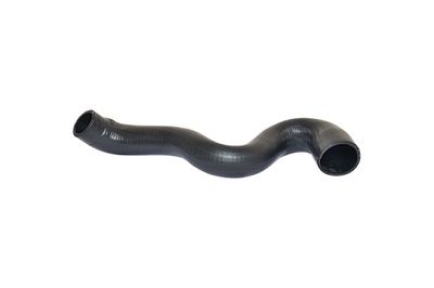 Charge Air Hose BUGIAD 82601
