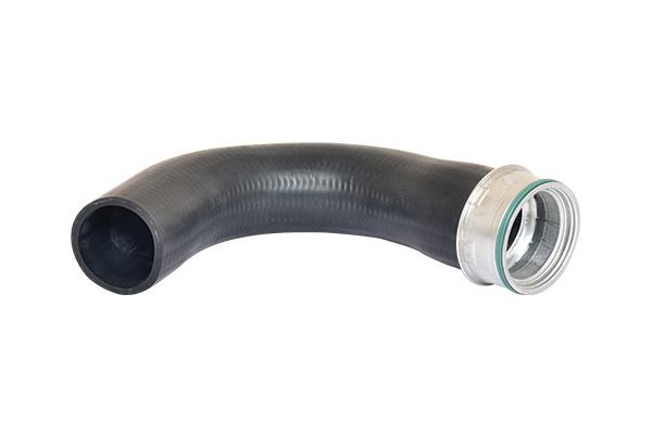 BUGIAD 82658 Charge Air Hose