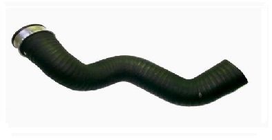 BUGIAD 82676 Charge Air Hose