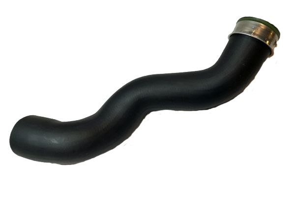 BUGIAD 86606 Charge Air Hose
