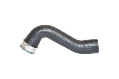 Charge Air Hose BUGIAD 87603