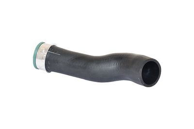 Charge Air Hose BUGIAD 87608