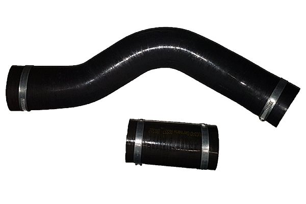 BUGIAD 88557 Charge Air Hose