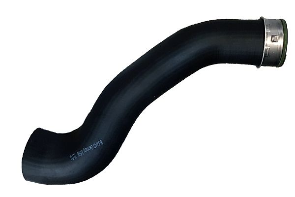 BUGIAD 88598 Charge Air Hose