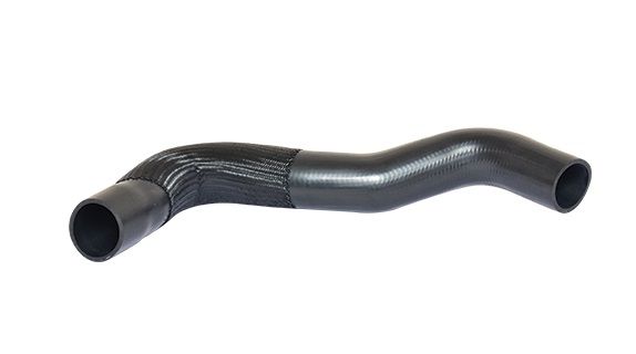BUGIAD 88647 Charge Air Hose