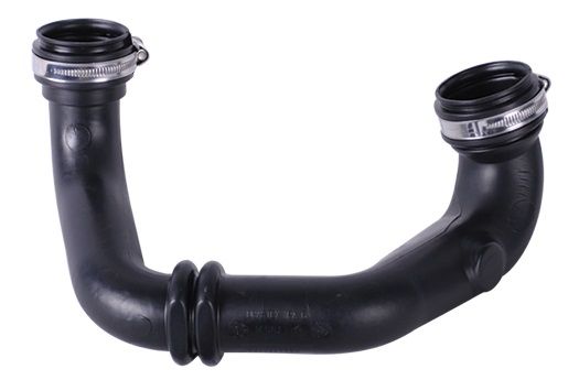 BUGIAD 88761 Charge Air Hose