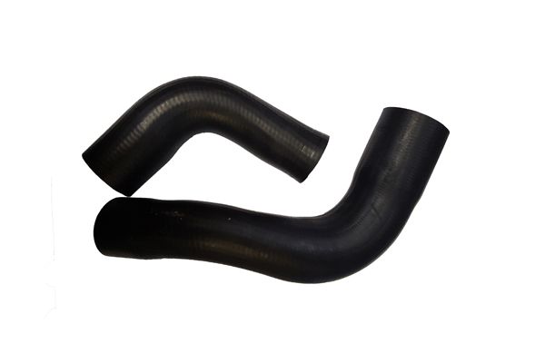 BUGIAD 88792 Charge Air Hose
