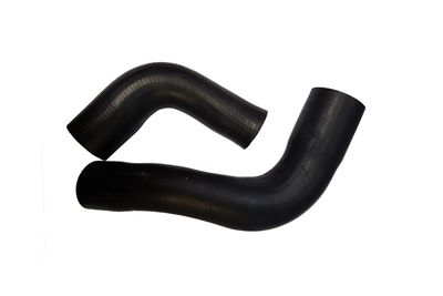 Charge Air Hose BUGIAD 88792