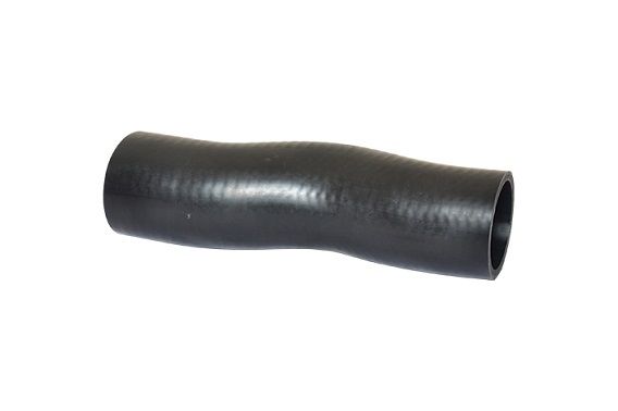 BUGIAD 88802 Charge Air Hose