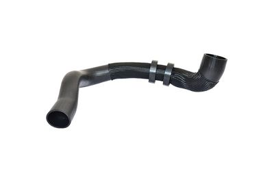 Charge Air Hose BUGIAD 88807