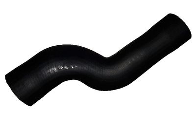 Charge Air Hose BUGIAD 88823