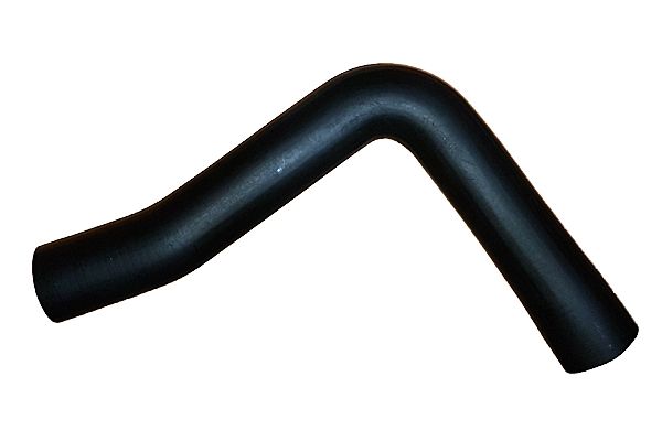BUGIAD 88825 Charge Air Hose