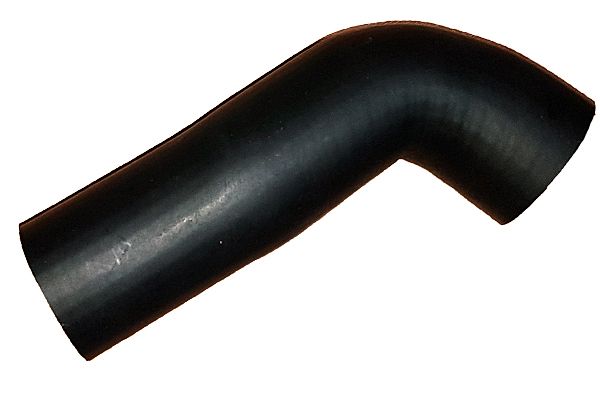BUGIAD 88833 Charge Air Hose