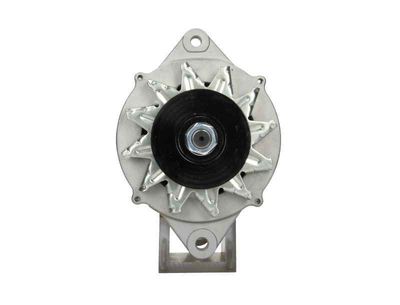 Alternator BV PSH 165.810.070.080