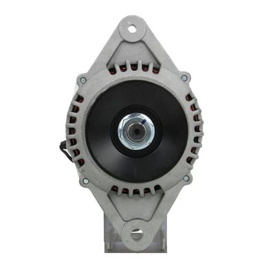 Alternator BV PSH 165.829.060.080