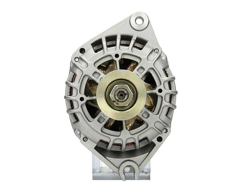 BV PSH 225.510.080.000 Alternator