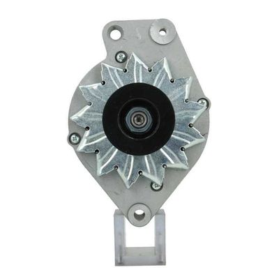 Alternator BV PSH 305.014.065.010